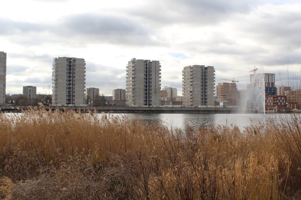 London CLEVER Cities programme has been at the forefront of co-creating integrated urban design and nature-based solutions in South Thamesmead. Photo: CLEVER Cities (supplied)