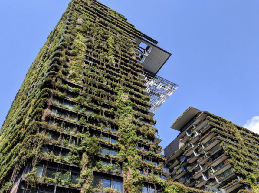 Australia's Eco-Conscious Corner