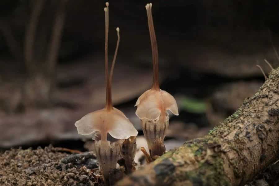 Trending Green - March 2026 