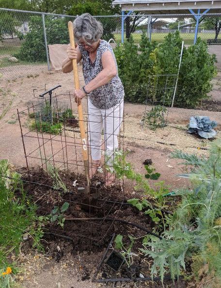 The Health Benefits of Gardening for Women