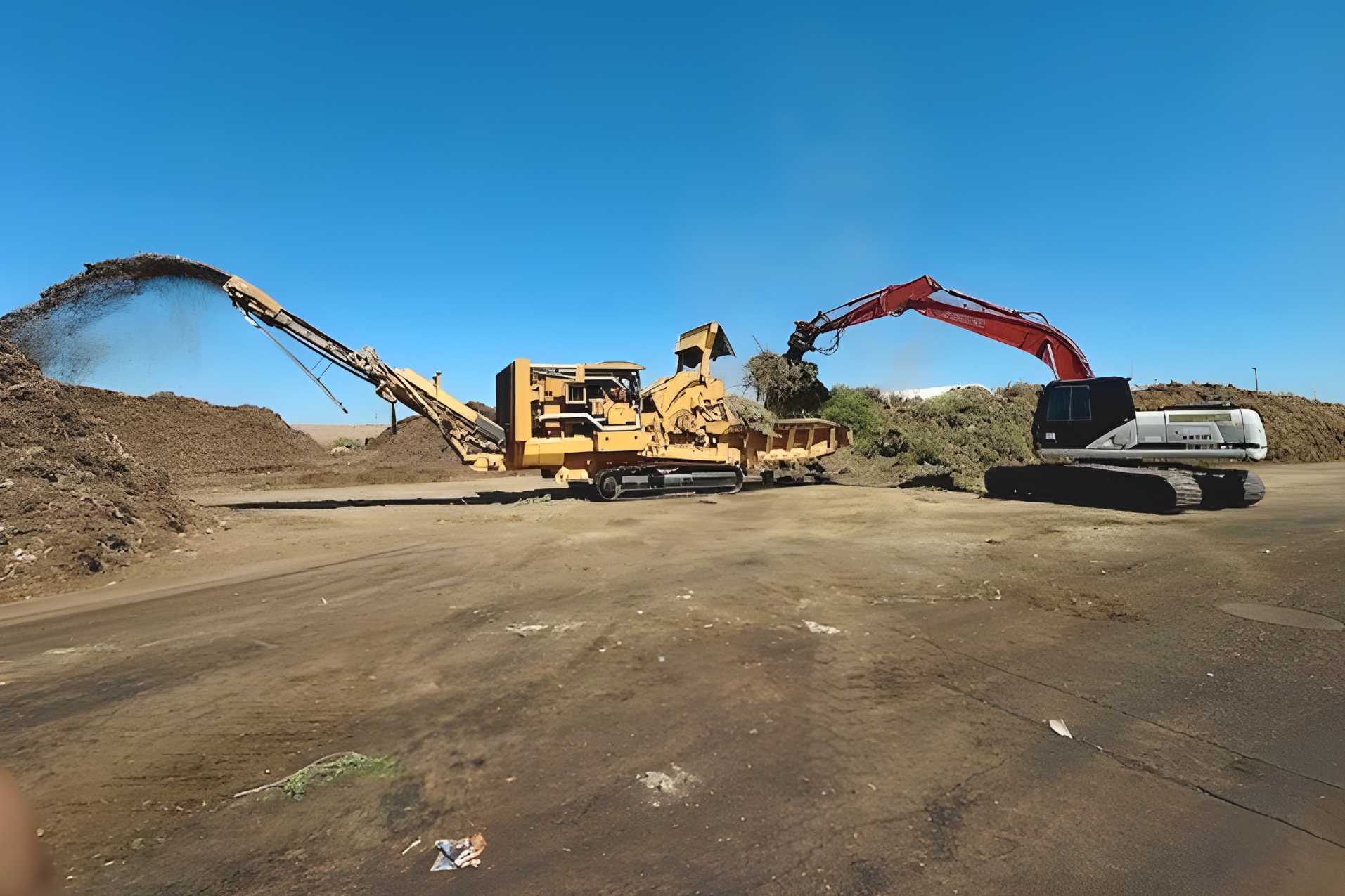 How Phoenix Is Building a Circular Food System