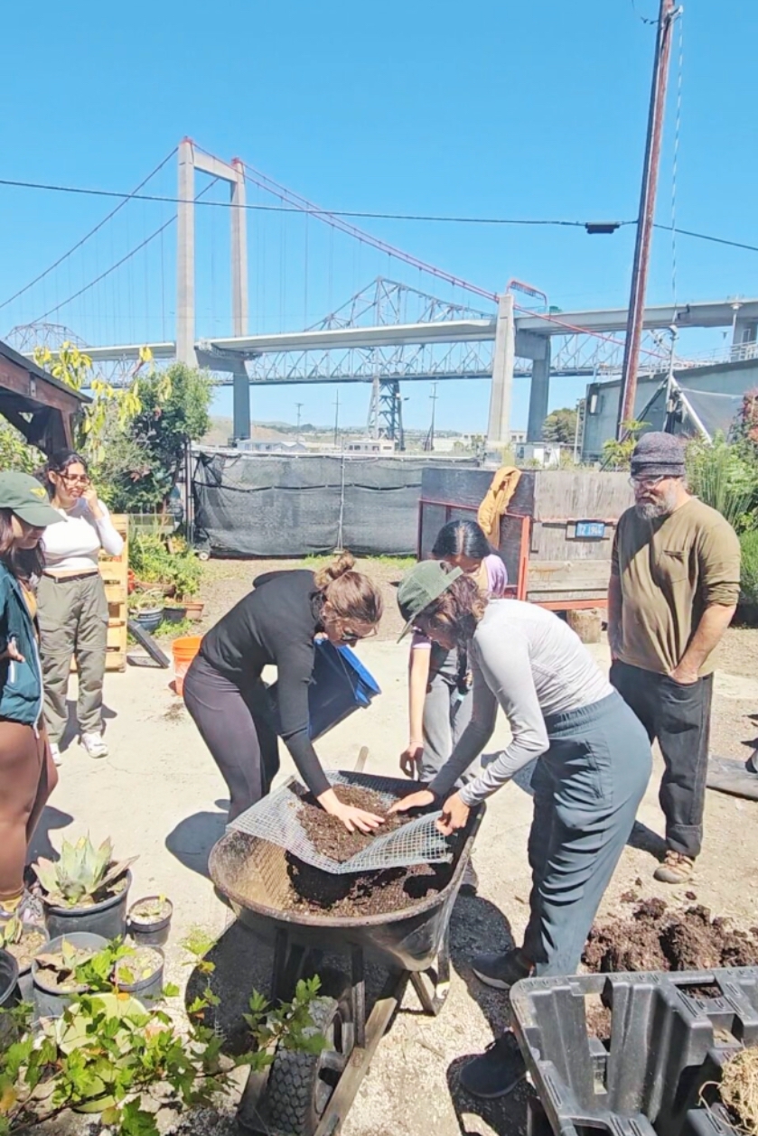 A Blueprint for BalanceA Balance