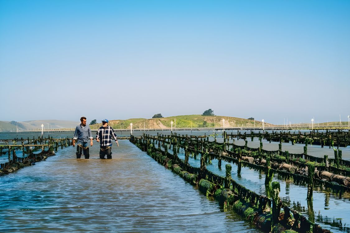 The Blue Food Revolution