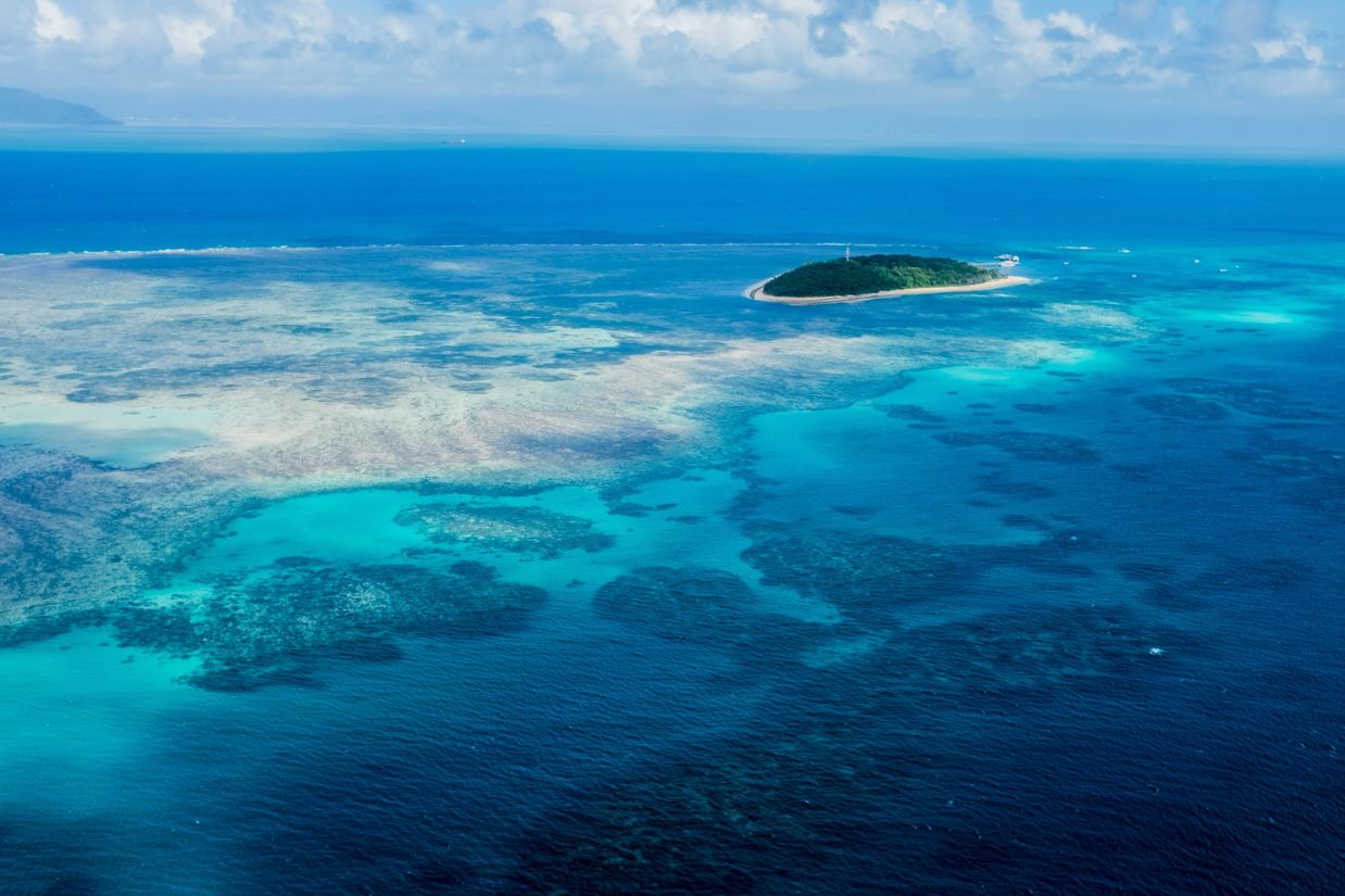 Could These Hidden Cool Zones Prevent Coral Reef Extinction?