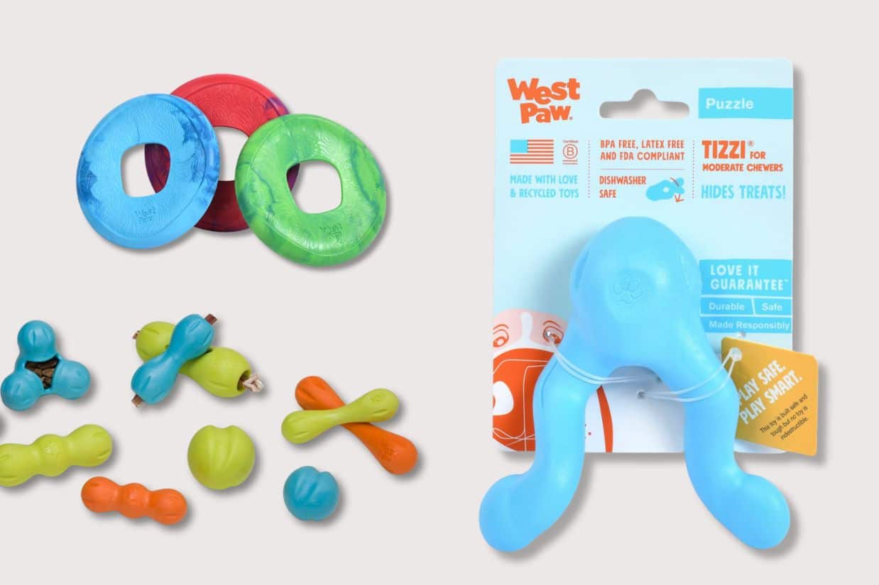 Your Dog's Toy Is a Plastic Problem — This Montana Company Is Fixing It